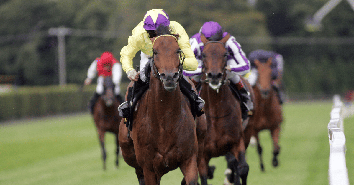Horse Racing Betting: Donn McClean’s Three Most Memorable Irish Champion Stakes Winners Horse Racing Betting: Donn McClean’s Three Most Memorable Irish Champion Stakes Winners
