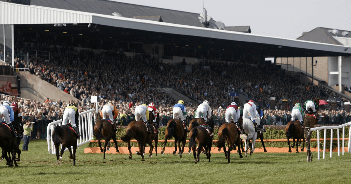 Irish Government Dismisses Proposed Betting Advertising Ban Amendment Irish Government Dismisses Proposed Betting Advertising Ban Amendment