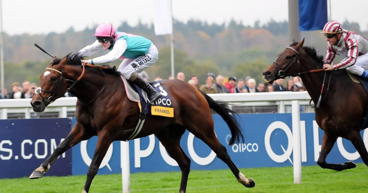 Horse Racing Betting: Donn McClean’s Three Most Memorable Champion Stakes Winners Horse Racing Betting: Donn McClean’s Three Most Memorable Champion Stakes Winners