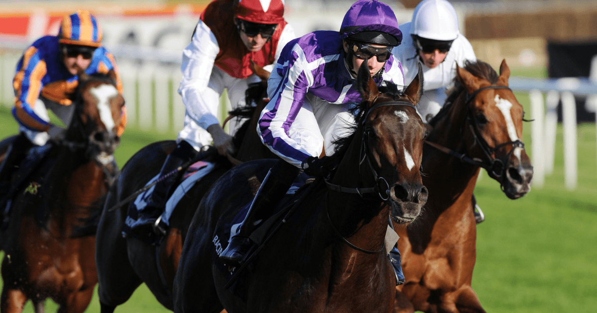Horse Racing Betting: Donn McClean’s Three Of The Best Futurity Trophy Winners Horse Racing Betting: Donn McClean’s Three Of The Best Futurity Trophy Winners