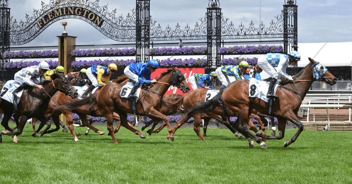 Melbourne Cup Tips: Best Bets, Odds & Analysis Melbourne Cup Tips: Best Bets, Odds & Analysis
