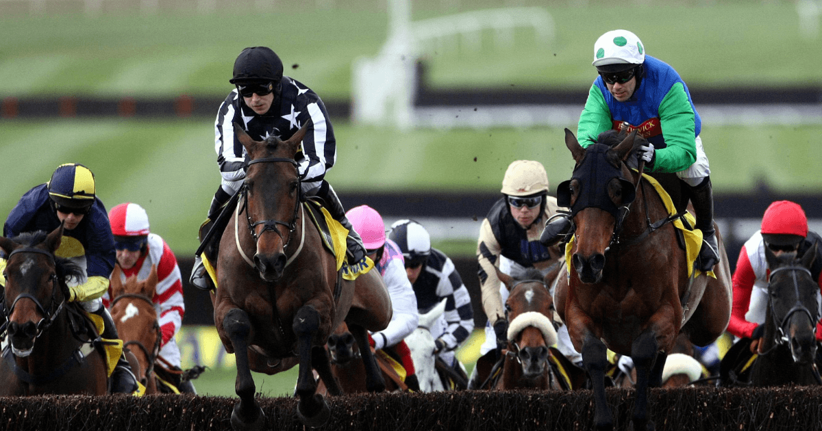 Horse Racing Betting: Donn McClean’s Three Of The Best Paddy Power Gold Cup Winners Horse Racing Betting: Donn McClean’s Three Of The Best Paddy Power Gold Cup Winners