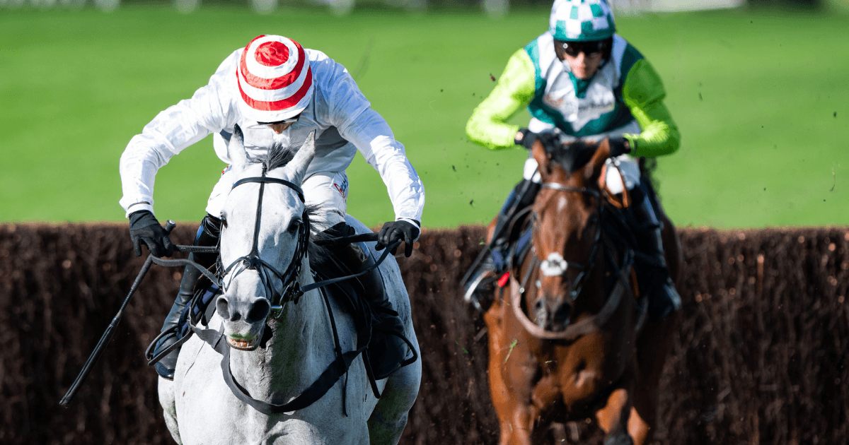 Horse Racing Tips: Best Betting Tips & Odds for Saturday Horse Racing Tips: Best Betting Tips & Odds for Saturday