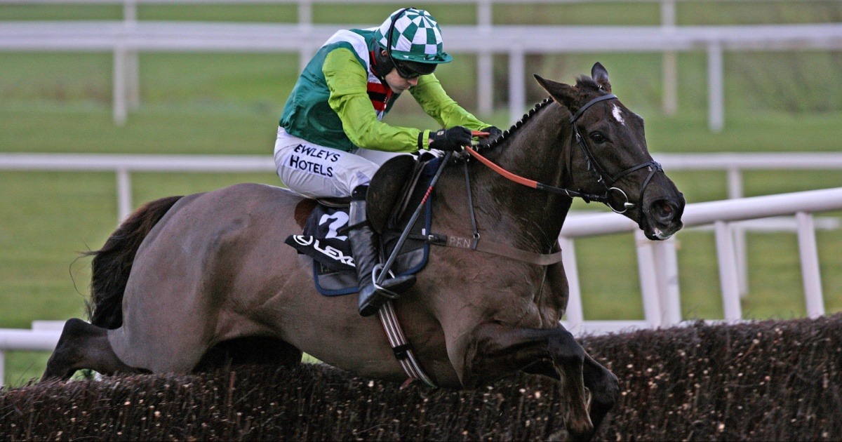 Donn McClean’s 3 Best Coral Gold Cup Winners Of All Time Donn McClean’s 3 Best Coral Gold Cup Winners Of All Time