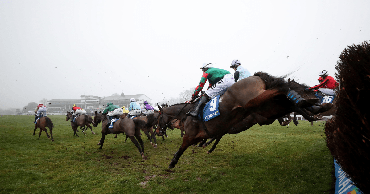 Tanya Stevenson's Welsh National Ante Post Preview, Odds & Analysis Tanya Stevenson's Welsh National Ante Post Preview, Odds & Analysis