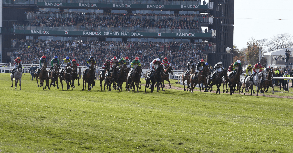 Donn McClean: The BHA May Need To Reconsider Restrictions Position Donn McClean: The BHA May Need To Reconsider Restrictions Position