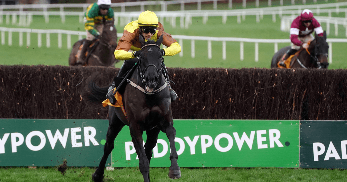 Donn McClean Reflects On A Busy Festive Period Of Jumps Racing Donn McClean Reflects On A Busy Festive Period Of Jumps Racing
