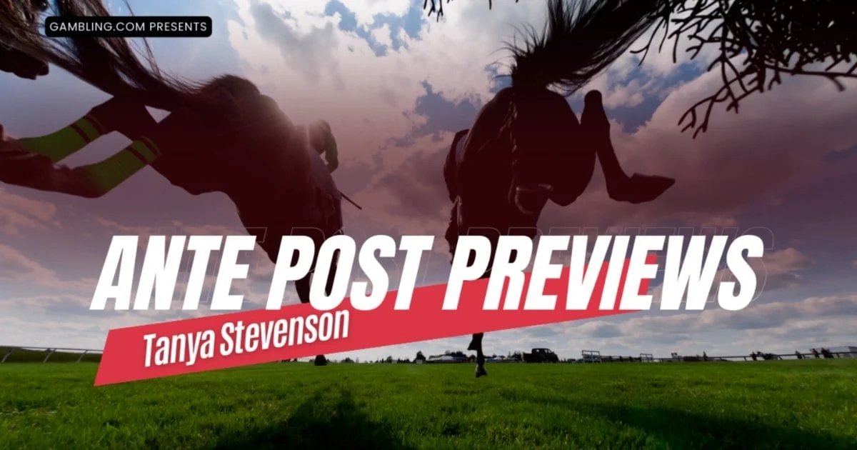 Tanya Stevenson: Great Yorkshire Chase & Betfair Hurdle Ante-Post Preview Tanya Stevenson: Great Yorkshire Chase & Betfair Hurdle Ante-Post Preview