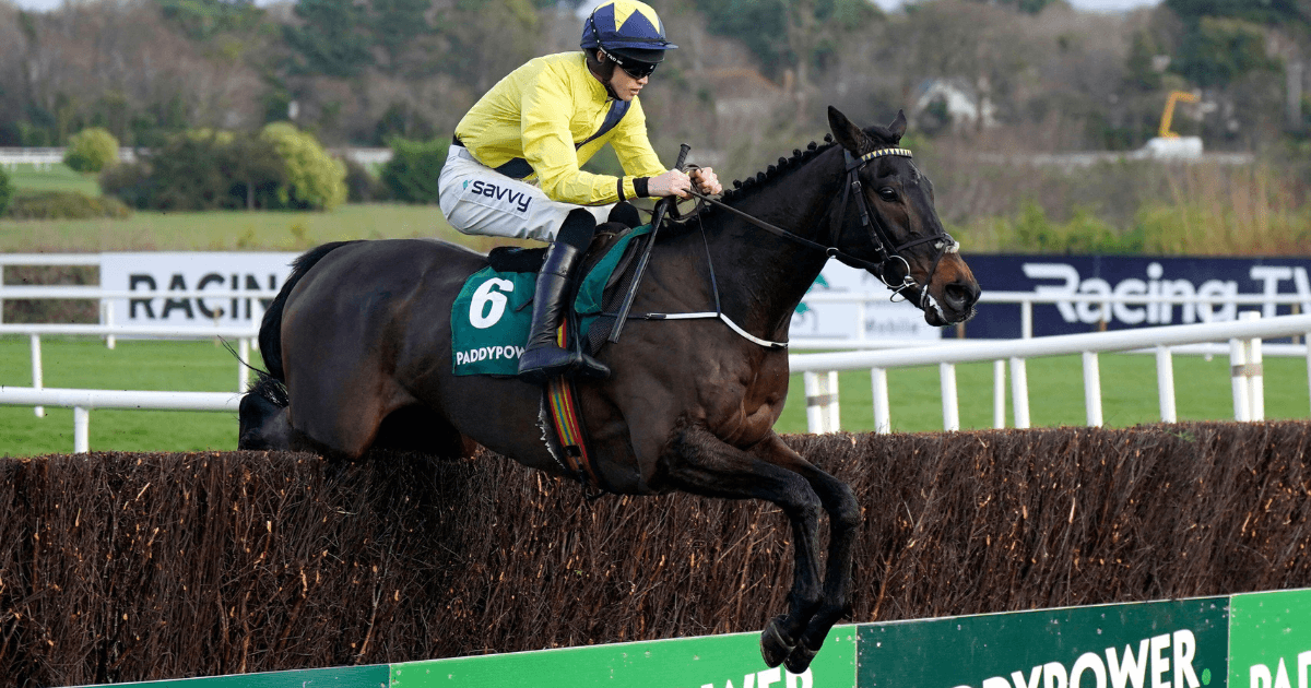 Donn McClean Takes A Closer Look At The Novice Chase Divisions Donn McClean Takes A Closer Look At The Novice Chase Divisions