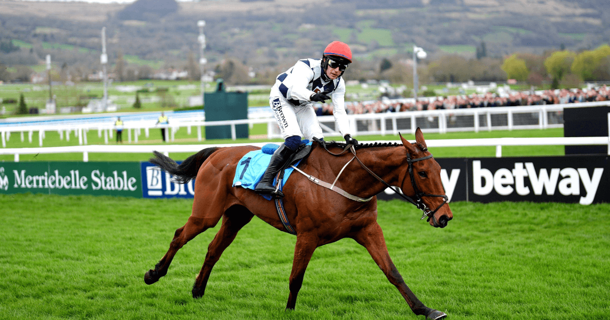 Donn McClean: There Is Only So Far You Can Push The Cheltenham Festival Without Going Over The Edge Donn McClean: There Is Only So Far You Can Push The Cheltenham Festival Without Going Over The Edge