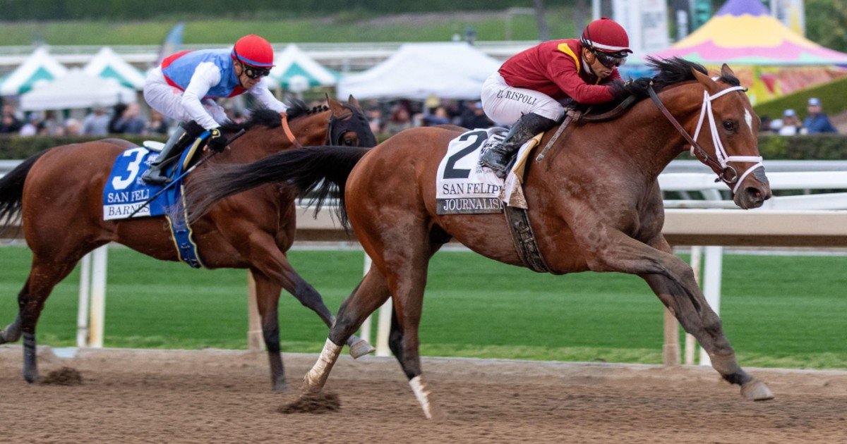 Will Journalism Run In The Preakness? Decision Expected Within Days Will Journalism Run In The Preakness? Decision Expected Within Days
