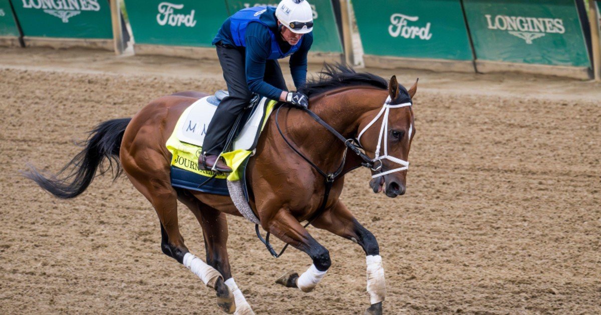 'We Are Going To The Preakness,' Journalism Co-Owner Says 'We Are Going To The Preakness,' Journalism Co-Owner Says