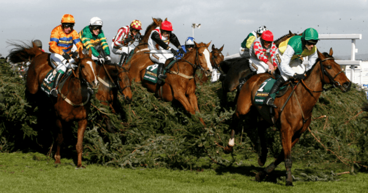 How Has The Grand National Changed? How Has The Grand National Changed?