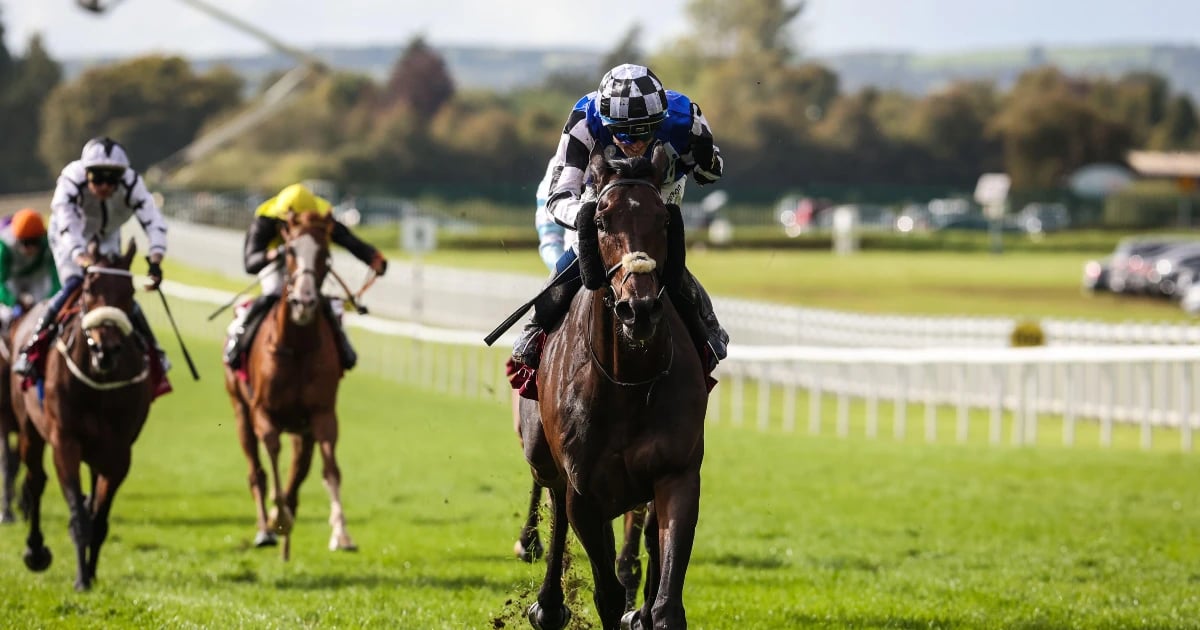 Irish Eyes Will Be Smiling: Al Riffa To Teach Aussies A Lesson On Their Own Soil Irish Eyes Will Be Smiling: Al Riffa To Teach Aussies A Lesson On Their Own Soil