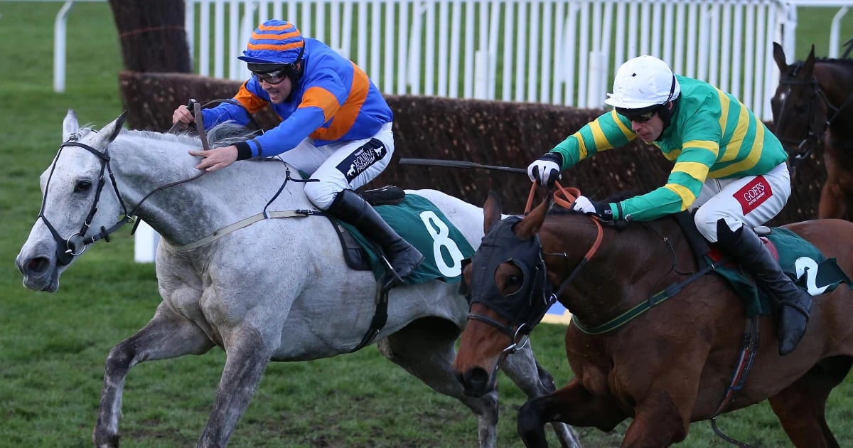 Irish Grand National Tips: Don't Discount The Veterans Irish Grand National Tips: Don't Discount The Veterans