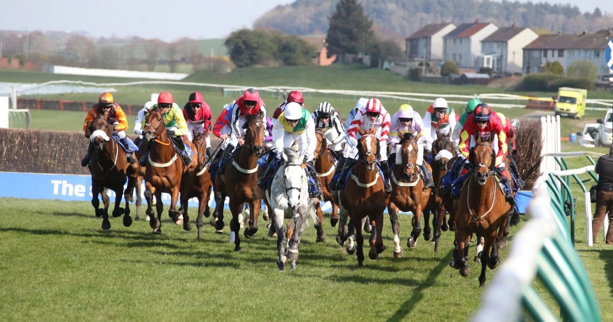 Tanya Stevenson's Selections For Scottish Grand National Day Tanya Stevenson's Selections For Scottish Grand National Day
