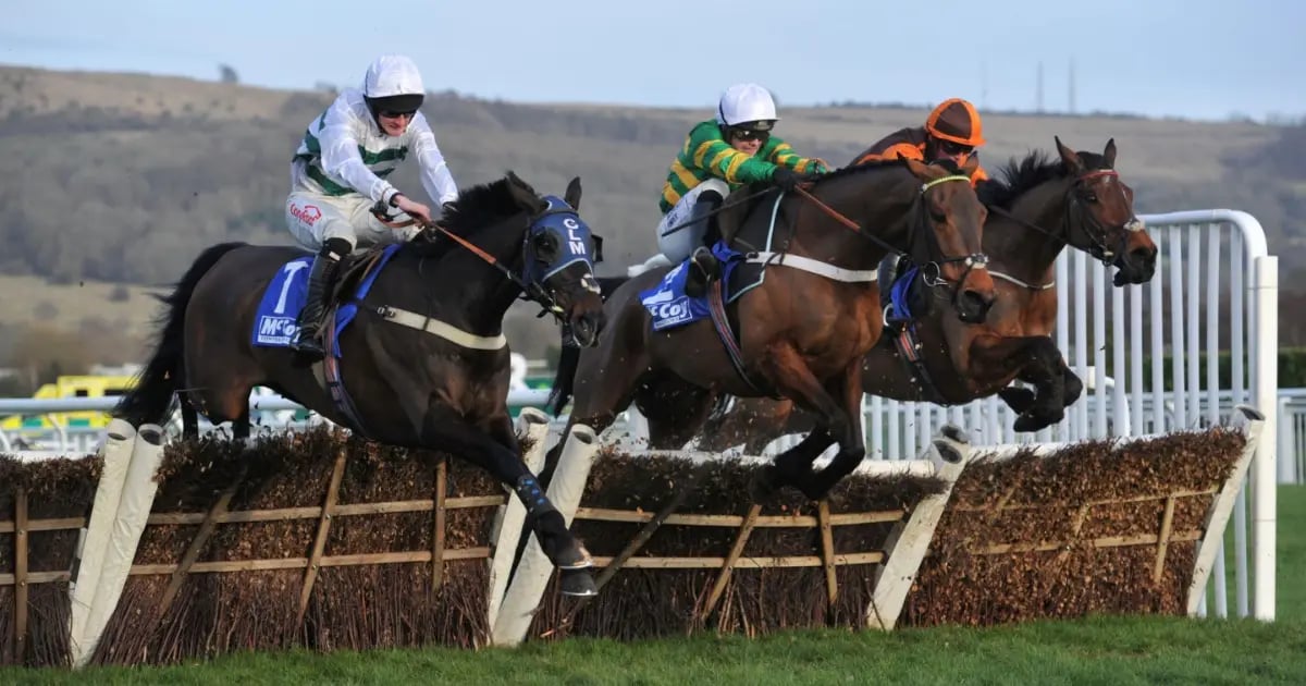 Cheltenham Offers: Best Free Bets And Promotions From Day 3 Of The 2025 Festival Cheltenham Offers: Best Free Bets And Promotions From Day 3 Of The 2025 Festival
