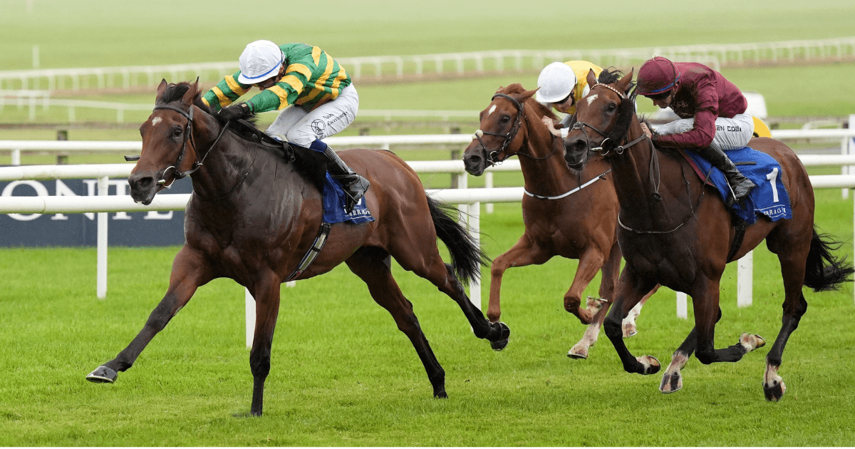 Cheltenham Day 1 Handicap Tips With Extra Each-Way Places Cheltenham Day 1 Handicap Tips With Extra Each-Way Places