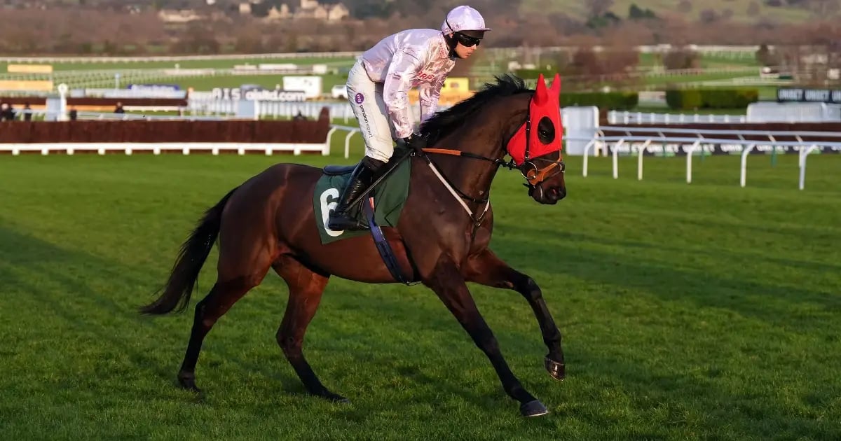 Cheltenham Festival 2025 Odds: Dark Horses Cheltenham Festival 2025 Odds: Dark Horses