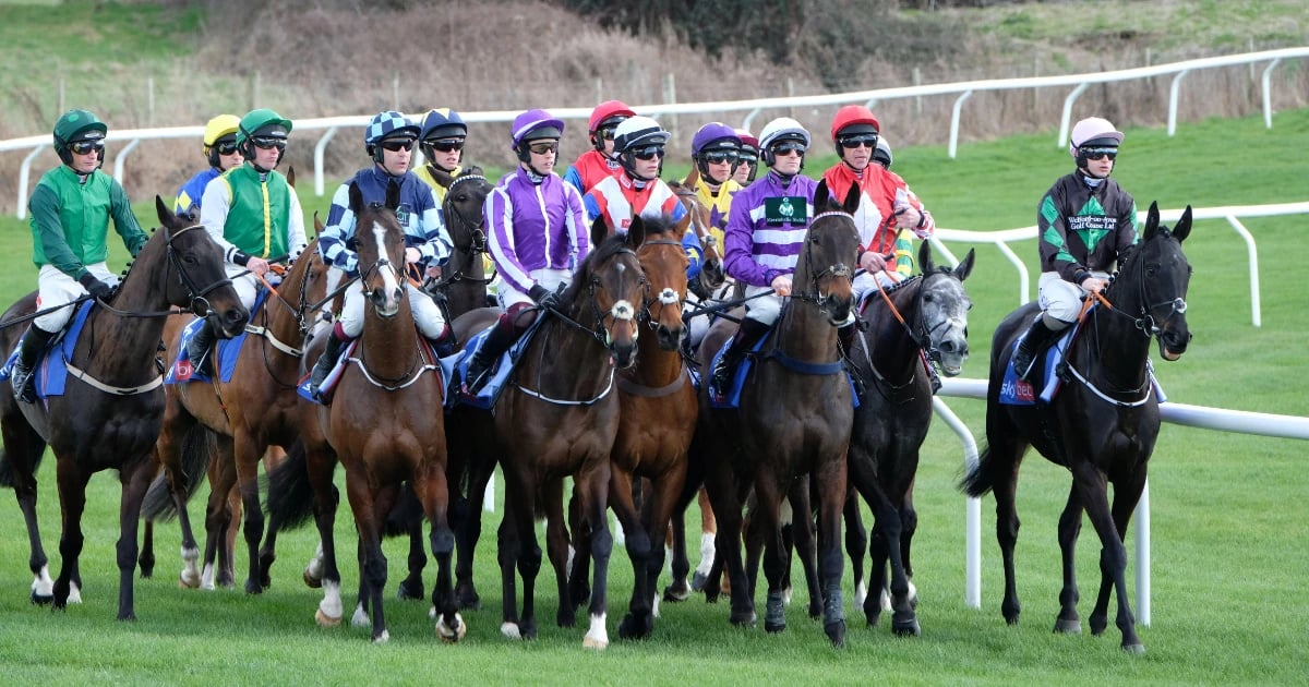 Cheltenham Festival 2026: Can Anyone Beat The Bankers? Cheltenham Festival 2026: Can Anyone Beat The Bankers?