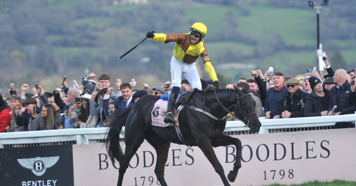 Cheltenham 2025: Top Five Gold Cup Race Trends Cheltenham 2025: Top Five Gold Cup Race Trends