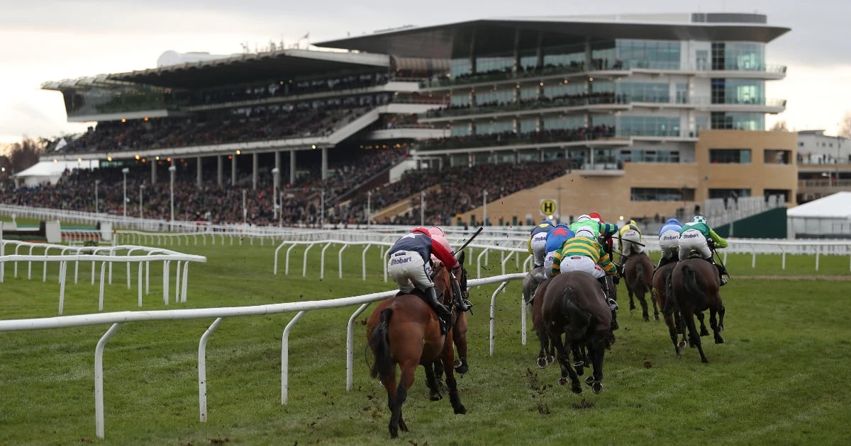 Racehour's Best Handicap Bets At The Cheltenham Festival Racehour's Best Handicap Bets At The Cheltenham Festival