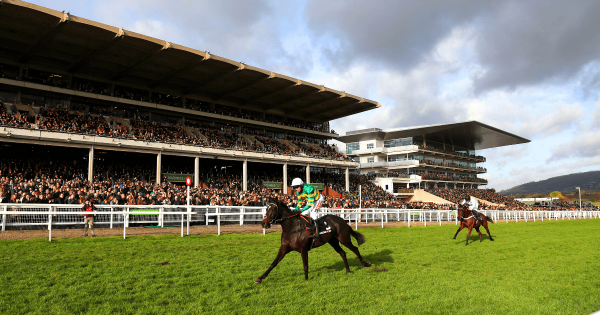 Cheltenham 2025: Arkle Race Trends You Should Not Ignore Cheltenham 2025: Arkle Race Trends You Should Not Ignore