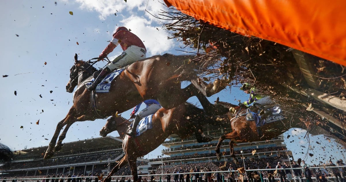 Cheltenham 2025: Three Festival Clashes To Look Forward To Cheltenham 2025: Three Festival Clashes To Look Forward To