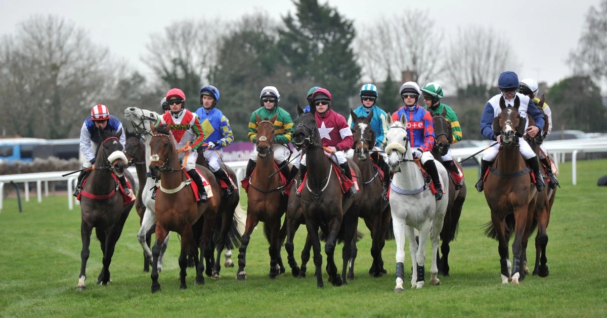 Tony Keenan's Three Best Bets For Cheltenham 2025 Tony Keenan's Three Best Bets For Cheltenham 2025