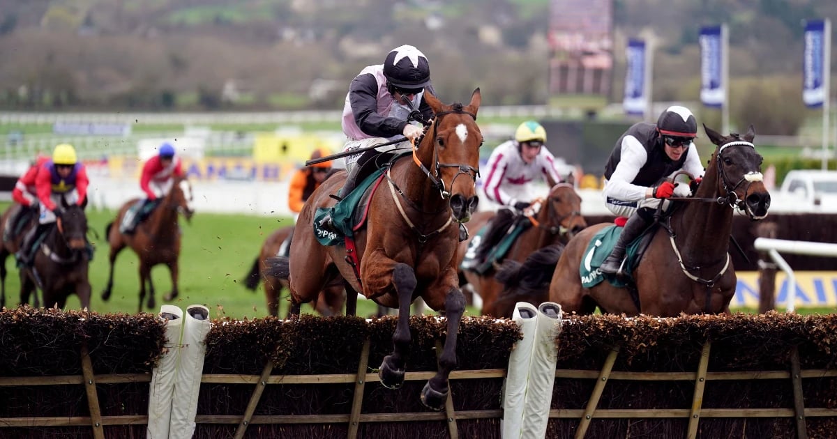 Cheltenham 2025: Stayers' Hurdle Trends You Should Consider Cheltenham 2025: Stayers' Hurdle Trends You Should Consider