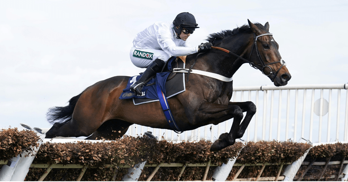 Constitution Hill Eyes Group 3 Glory – How Far Can Racing's Star Horse Go? Constitution Hill Eyes Group 3 Glory – How Far Can Racing's Star Horse Go?