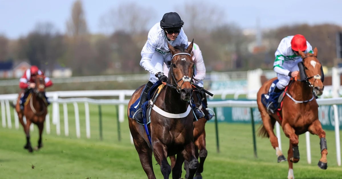 Cheltenham 2025: Can Anything Stop Constitution Hill? Cheltenham 2025: Can Anything Stop Constitution Hill?