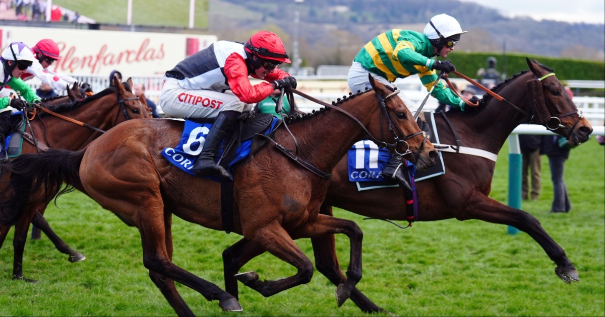 Coral Cheltenham Offers for the Gold Cup: Claim £20 Free Bets for Day 4 Coral Cheltenham Offers for the Gold Cup: Claim £20 Free Bets for Day 4