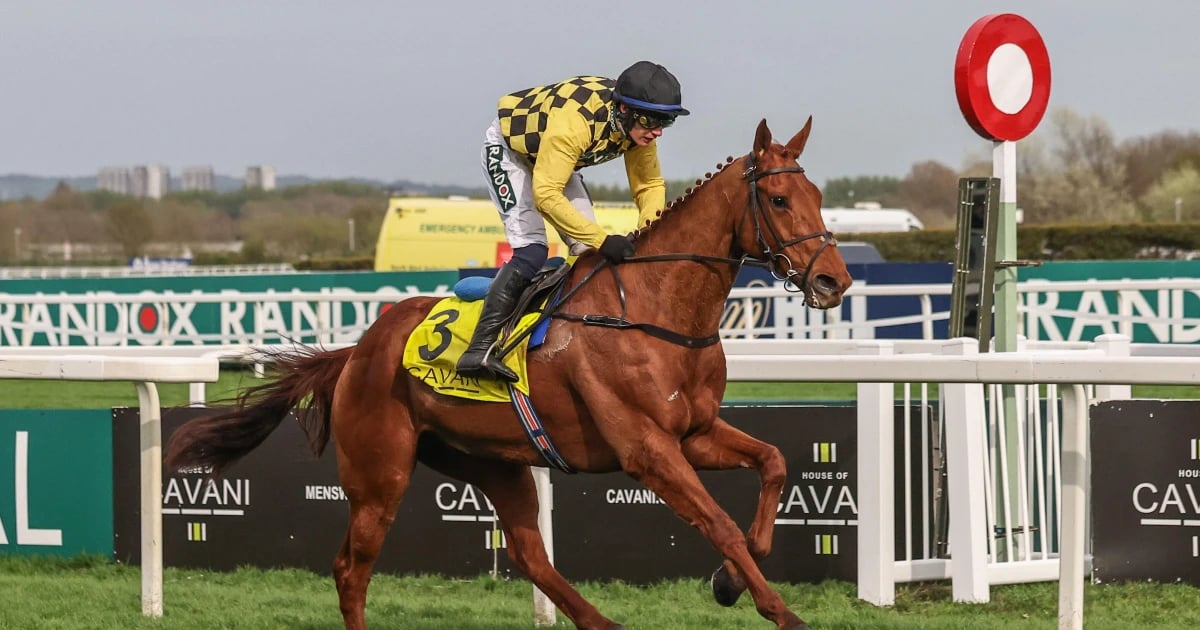Aintree Festival 2025: Race By Race Guide For Day 2 Aintree Festival 2025: Race By Race Guide For Day 2
