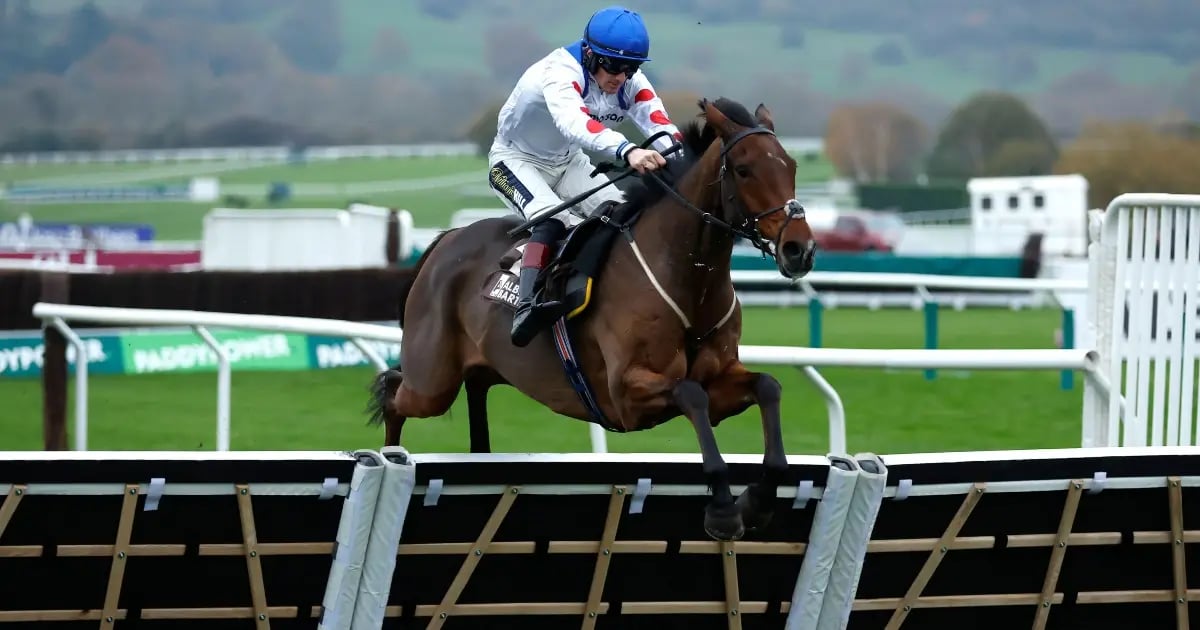 Cheltenham Festival 2025 Odds: Tips For Every Race On Day 2 Cheltenham Festival 2025 Odds: Tips For Every Race On Day 2