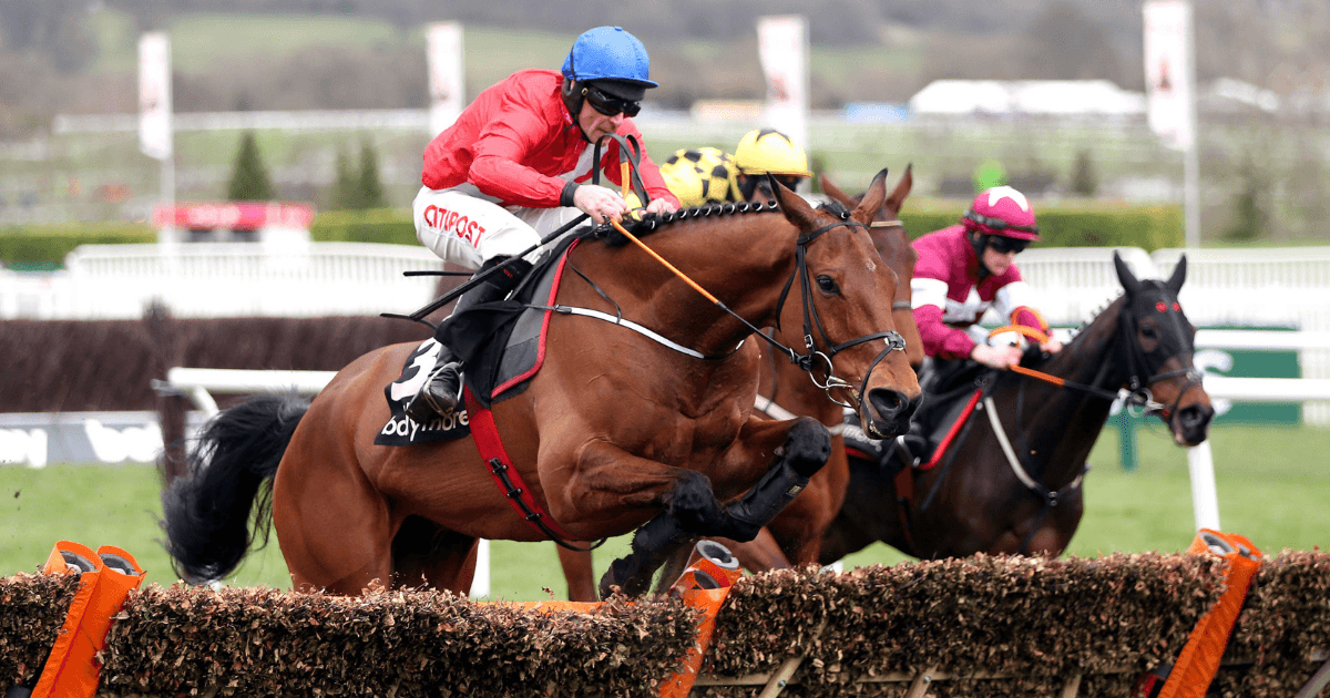Donn McClean: King George VI Chase In A State Of Flux Donn McClean: King George VI Chase In A State Of Flux