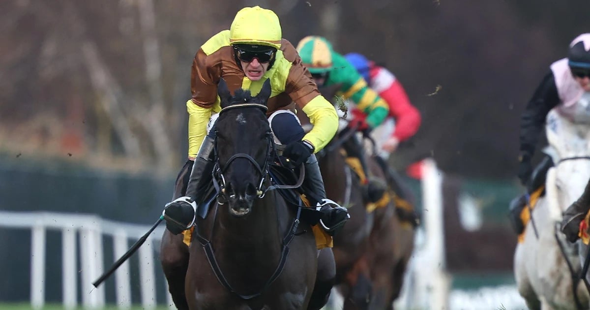 Cheltenham Market Movers: Dublin Racing Festival Provides Clues For March Cheltenham Market Movers: Dublin Racing Festival Provides Clues For March