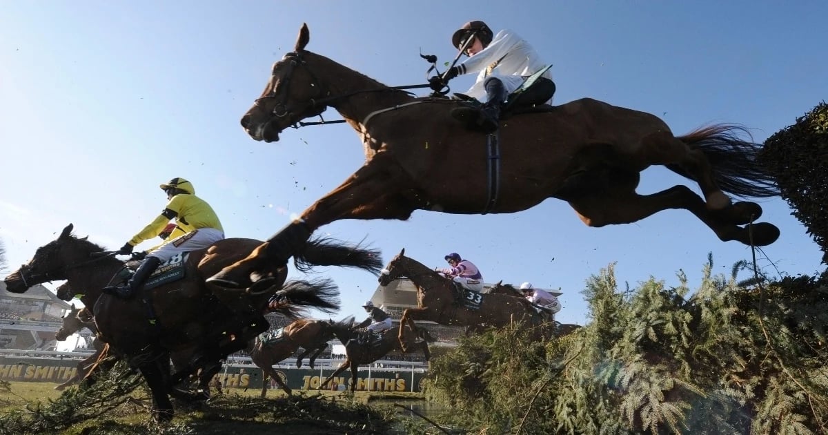 Cheltenham Gold Cup/Grand National Double Chasers 2025 Cheltenham Gold Cup/Grand National Double Chasers 2025