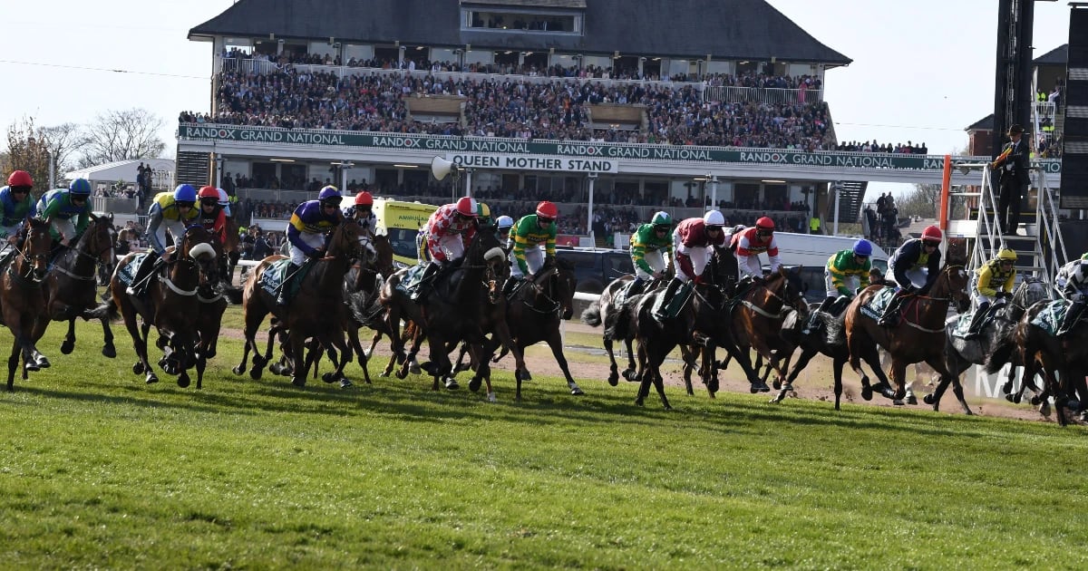 Grand National 2026: Key Contenders And Runners To Watch Grand National 2026: Key Contenders And Runners To Watch
