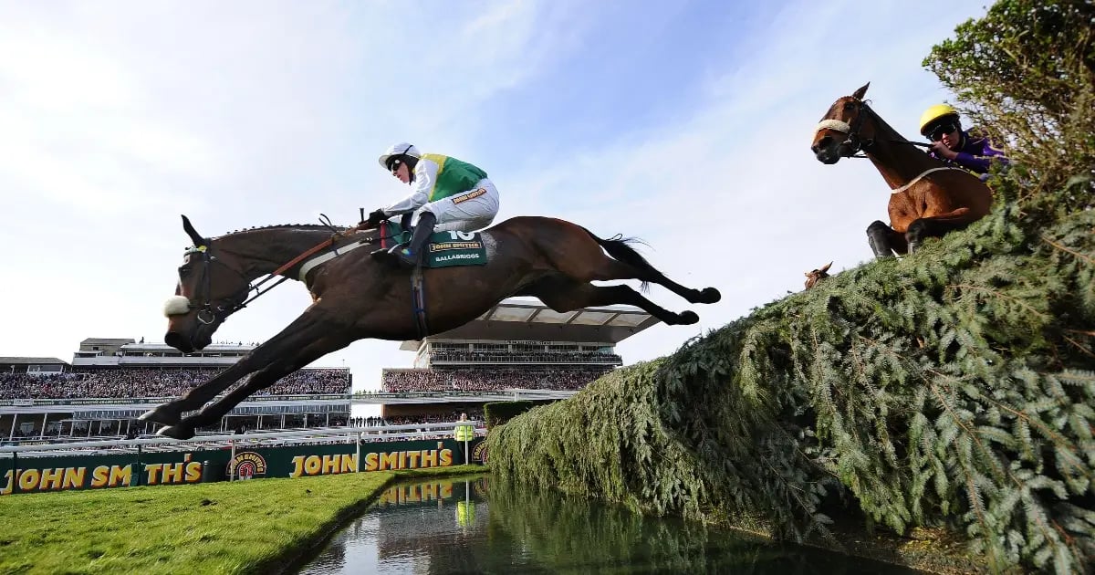 The Ultimate Grand National Sweepstake Guide The Ultimate Grand National Sweepstake Guide