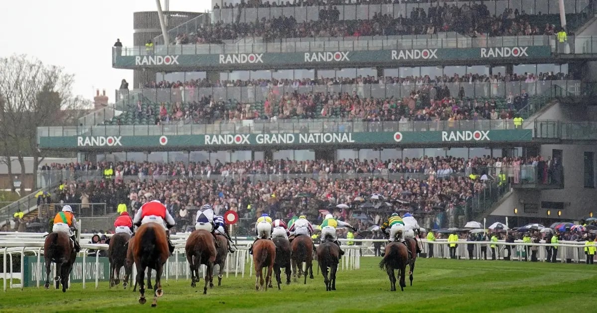 Grand National 2025: How Lucky Is Your Sweepstake Number? Grand National 2025: How Lucky Is Your Sweepstake Number?