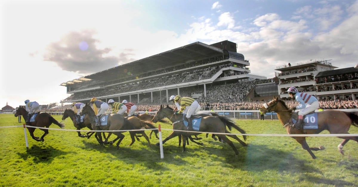 Galway Racing Festival Tips: Tuesday's Best Bets Galway Racing Festival Tips: Tuesday's Best Bets