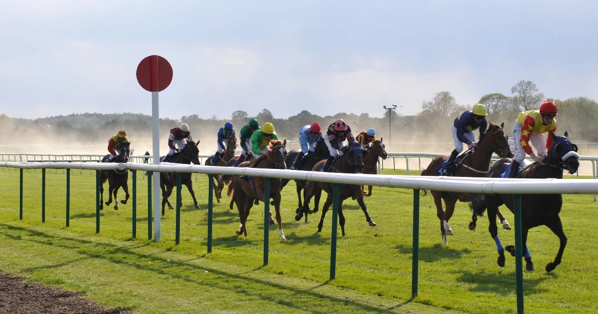 Galway Racing Festival Tips: Monday's Best Bets Galway Racing Festival Tips: Monday's Best Bets