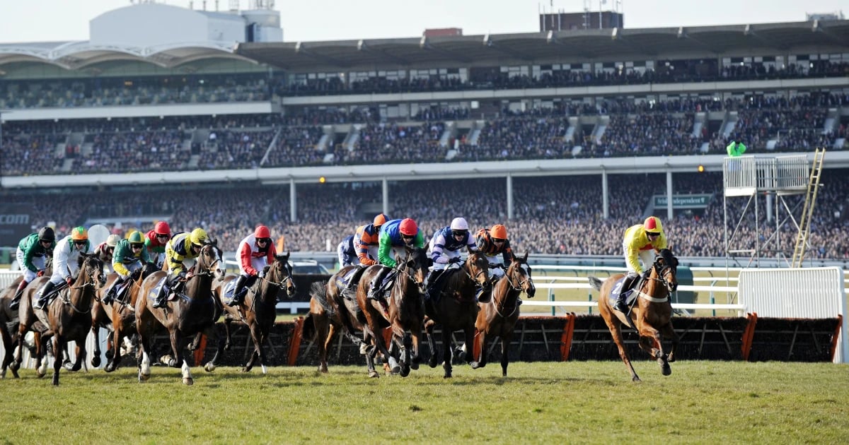 Cheltenham Festival 2025: Horses For Courses Cheltenham Festival 2025: Horses For Courses