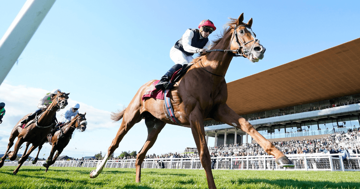 Donn McClean: What I Learned From The Irish Champions Festival Donn McClean: What I Learned From The Irish Champions Festival