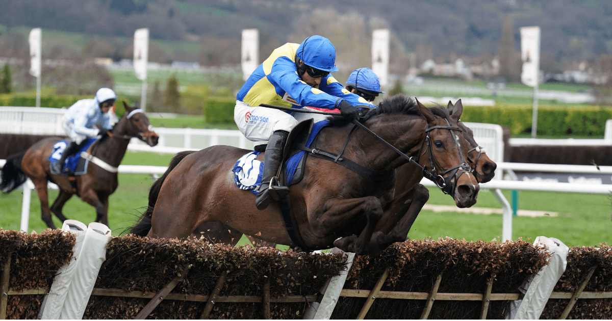 Cheltenham Day 2 Handicap Tips With Extra Each-Way Places Cheltenham Day 2 Handicap Tips With Extra Each-Way Places