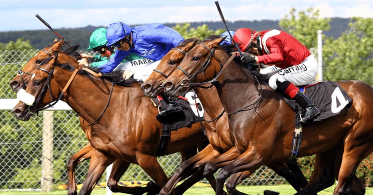What is Lay Betting and When Should Bettors Do It? What is Lay Betting and When Should Bettors Do It?