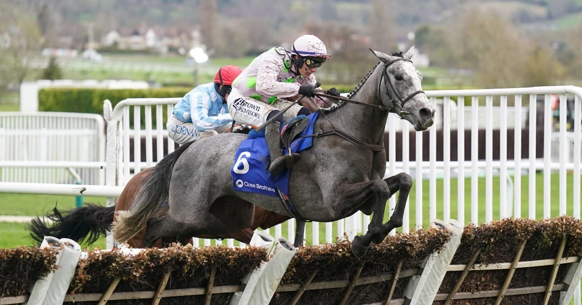Which Race Will Lossiemouth Run In At Cheltenham? Which Race Will Lossiemouth Run In At Cheltenham?