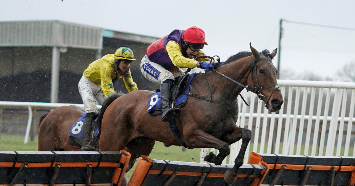 Horse Racing Tips: Tanya Stevenson's 3 Best Bets For Ascot On Saturday Horse Racing Tips: Tanya Stevenson's 3 Best Bets For Ascot On Saturday