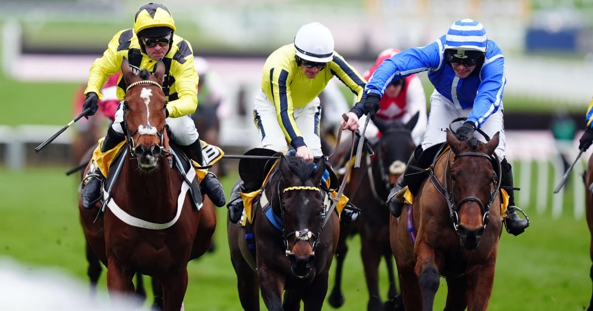 Punchestown Festival Tips: Best Bets On Saturday Punchestown Festival Tips: Best Bets On Saturday